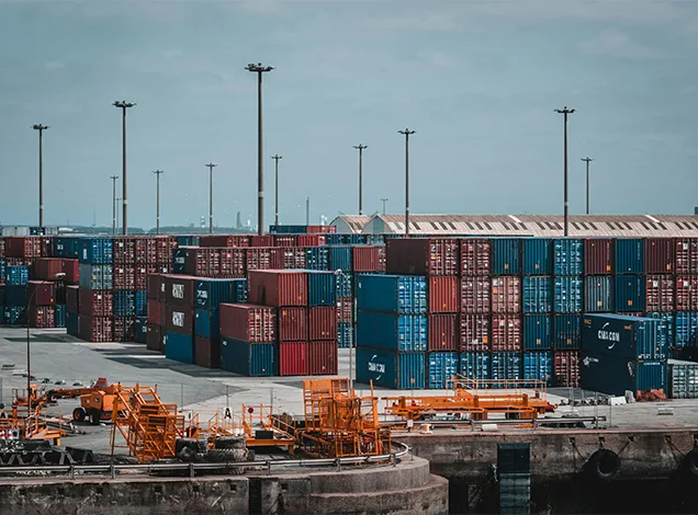 Marine workforce consultancy project