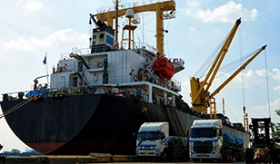 Oil & Gas & EPC Support